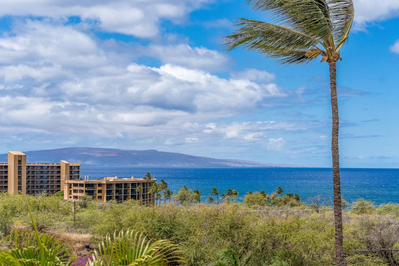Maui Kamaole A204 - Romvari Realty Kihei Eksteriør bilde